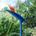 STRELITZIA