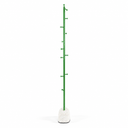CACTUS COAT STAND