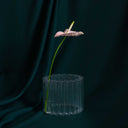 RING VASE | South African handmade collectable interior furniture design
