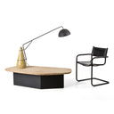 PENGUIN COFFEE TABLE | South African handmade collectable interior furniture design