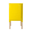 HINGE UNIT 1 DOOR | South African handmade collectable interior furniture design